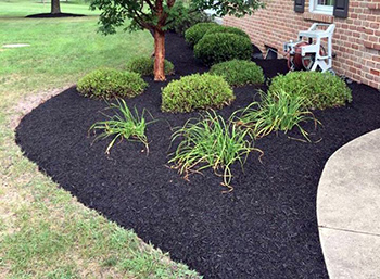 Planting Mulching Carroll County